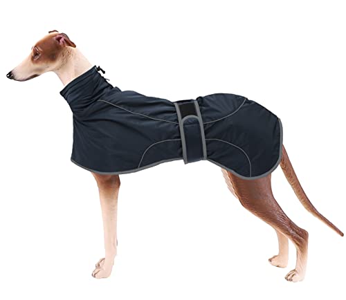 Geyecete- Wasserdicht Windhunde Mantel Fleece Whippet Pullover Winterjacke,Verstellbaren Reflektierend Outdoor Hundemantel für mittel und Grosse Galgo Windhund Whippet Lurcher Saluki-Navy Blau-L von Geyecete