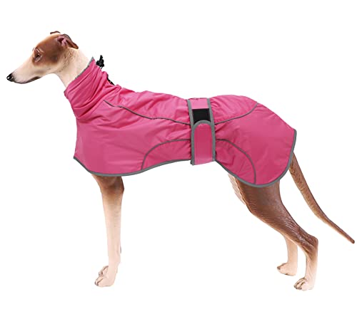 Geyecete- Wasserdicht Windhunde Mantel Fleece Whippet Pullover Winterjacke,Verstellbaren Reflektierend Outdoor Hundemantel für mittel und Grosse Galgo Windhund Whippet Lurcher Saluki-Rosa-L von Geyecete