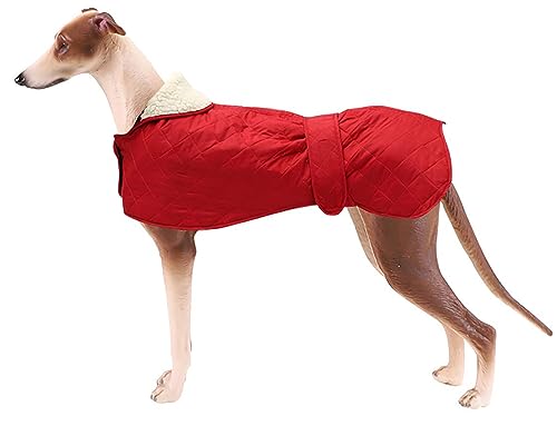 Geyecete - Windhund Warmer wintermantel, Hundemantel mit Dickes Steppfutter, verstellbaren Outdoor Hundejacke mit Geschirr Loch für mittel große Windhunde Whippet Lurcher Saluki -Rot-L von Geyecete