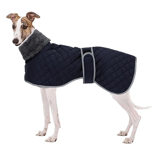 Geyecete Winter Hundemantel fur Windhunde,Warm Hundejacke mit Fleecefutter,wasserdicht,Winddicht,Verstellbarer,Hunde Pullover fur Wandern,Klettern,für mittel/große Windhunde/Whippet-Blau-L von Geyecete