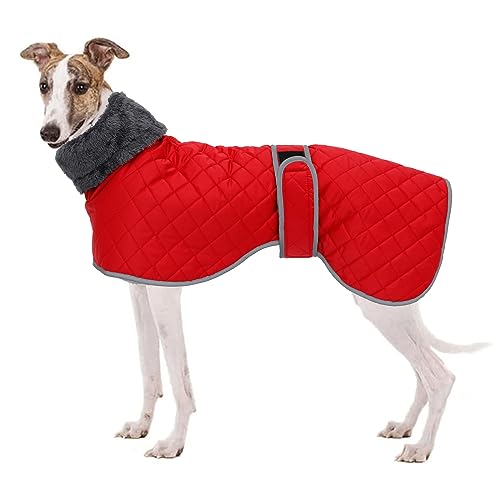 Geyecete Winter Hundemantel fur Windhunde,Warm Hundejacke mit Fleecefutter,wasserdicht,Winddicht,Verstellbarer,Hunde Pullover fur Wandern,Klettern,für mittel/große Windhunde/Whippet-Rot-S von Geyecete