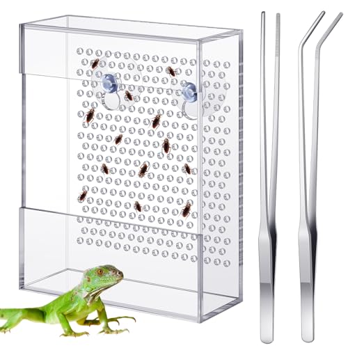 Geyoga Bartdrachen Feeder mit 2 Aquarium Pinzette Transparent Acryl Reptilien Feeder Box Chamäleon Käfer Schüssel Wandmontage Insektenfutterspender mit Saugnäpfen für Bartdrachen Eidechse von Geyoga