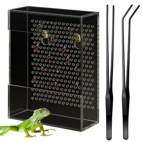 Geyoga Bartdrachen Futterspender mit 2 Aquarium Pinzette Acryl Reptilien Feeder Box Chamäleon Käfer Schüssel Wandmontage Insektenfutterspender mit Saugnäpfen für Bartagamische Eidechse (Schwarz) von Geyoga