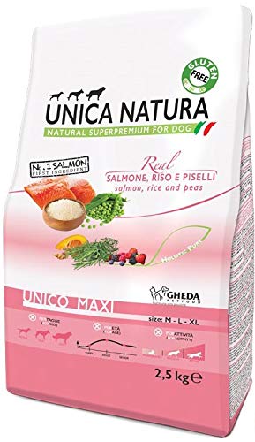 Gheda Petfood Einzigartige Natur Alleinfuttermittel für mittelgroße und große Hunde, basierend auf Lachs, Reis und Erbsen, Packung mit 2500 Gramm von Gheda Petfood