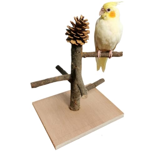 Bird Stands for Parrots, Bird Perch Stand Wood, Tabletop Parrot Perch, Bird Play Stand Training Playground, Ideal for Cockatiels, Parakeets, and Other Small Birds, Cage Toys for Birds von Ghjkldha