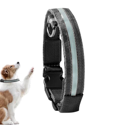 Ghjkldha Blinkende Hundehalsbänder,Blinkendes Leuchthalsband für Hunde | Verstellbare, im Dunkeln leuchtende Halsbänder für Welpen, mittelgroße und kleine Hunde von Ghjkldha