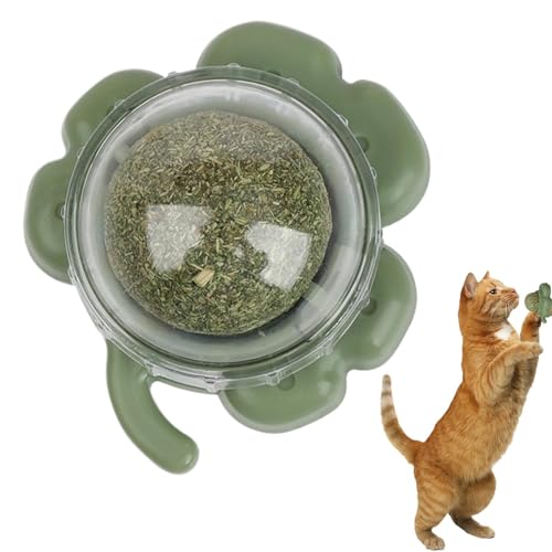 Ghjkldha Catnip Ball Toy, Lickable Teeth Cleaning Treat, Chewable Catnip Snack for Cats and Kittens, Interactive Pet Chewing Toy for Home, Furniture, and Playtime, 2.52x2.2x1.46 inches von Ghjkldha