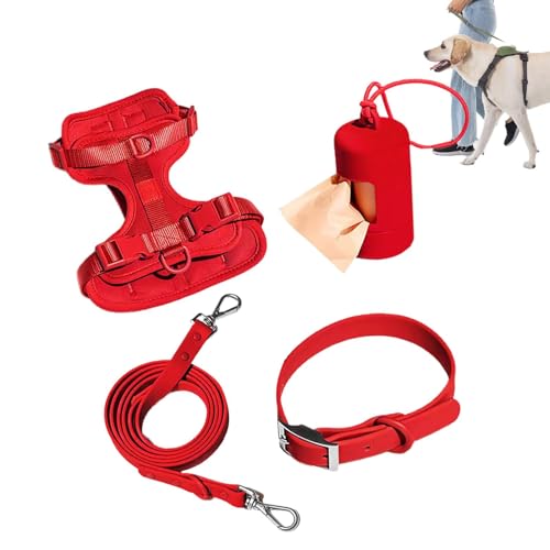 Hundegeschirr, mittelgroß, mit Halsband, Leine, Set mit Leine, kein Ziehen, Haustiergeschirr für Hunde, Welpen, mit Kotbeutelhalter von Ghjkldha