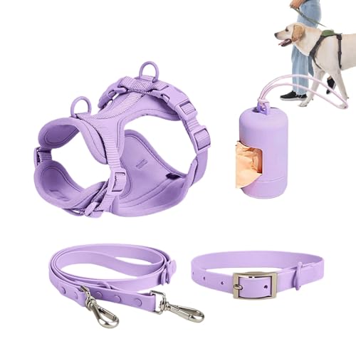 Hundegeschirr-Set | Hundehalsband Geschirr Leine Set, Hundeweste Geschirr mit Leine, Sicherheitshalsband, verstellbar mit Kotbeutelhalter von Ghjkldha