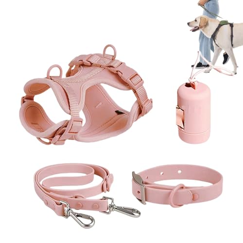 Hundegeschirr Set Mittelgroße Hunde | Hundehalsband Geschirr Leine Set - Hundeweste Geschirr mit Leine Sicherheitshalsband verstellbar mit Kotbeutelhalter von Ghjkldha