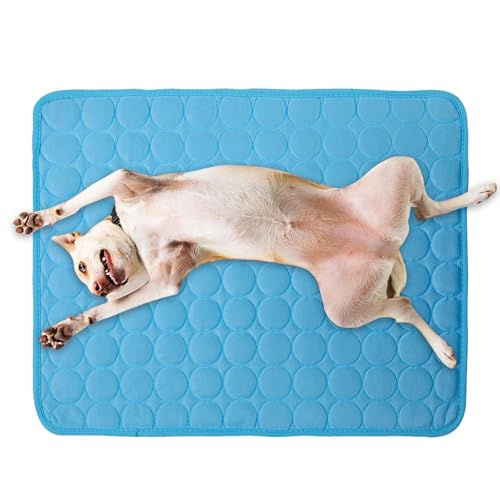 Ghjkldha Kühlmatte für Hunde, wasserdicht, waschbar, kühlendes Hundebett, Haustierbett für Senioren, Welpen, Zuhause, Wohnzimmer, Reisen, Schlafzimmer, Terrasse, Camping, Auto, Hinterhof, Büros Ghjkldha Kühlmatte für Hunde, wasserdicht, waschbar, kühlendes Hundebett, Haustierbett für Senioren, Welpen, Zuhause, Wohnzimmer, Reisen, Schlafzimmer, Terrasse, Camping, Auto, Hinterhof, Büros von Ghjkldha
