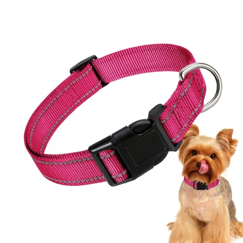 Nylon Hundehalsband, Verstellbares Katzenhalsband, Verstellbare Nylon Schnalle Hundehalsband, Nylon Atmungsaktiv, Bequem Für Verschiedene Hunde von Ghjkldha