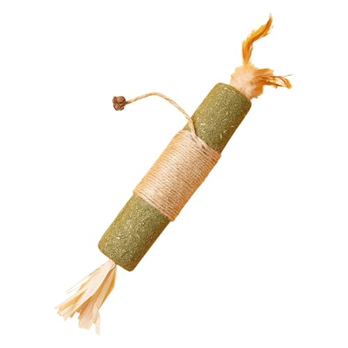 Pet Accessories, Interactive Catnip Sticks, Bissresistente Katzenleckerlis, Katzenminzestäbchen mit natürlicher Feder für Haustier Katze Unterhaltsames Kauzubehör von Ghjkldha