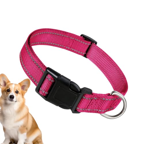 Reflektierendes Katzenhalsband, atmungsaktives Nylon-Hundehalsband, bequem, atmungsaktiv, bequem für große Katzen, kleine Hunde von Ghjkldha