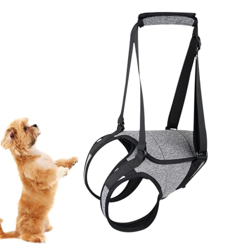 Senior Dog Lift Harness - Dog Lift Support Harness with Handle Straps - Dog Harness Rear Leg Support, Dog Stair Helper for Joint Injured Dog von Ghjkldha