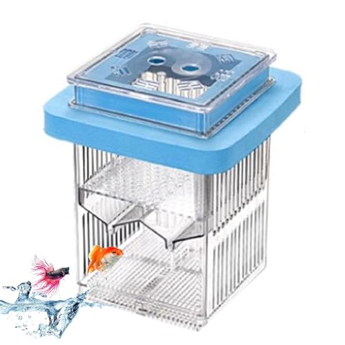 Guppy Breeder Box, Floating Clear Frame Hatching Box, Fish Tank Divider Acclimation Case, Effortless Oversight, Mother Fish Incubator for Shrimp, Safe Breeding von Ghjkldha