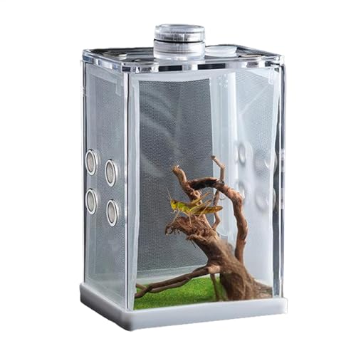 Hatching Container, Terrariums Enclosure, Small Feeder Storage, Spider Cage, 3.15x4.13x3.15inches/3.15x4.13x5.91inches, Reptile Enclosure Accessories for Feeding von Ghjkldha