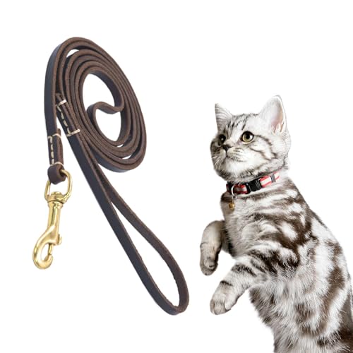 No Pull Rope, Dog Training Behavior Aid, Safety Belt for Car, Ergonomic Design and Comfortable Walking Harness for Medium-Sized Animals, Training & Control for Dogs von Ghjkldha