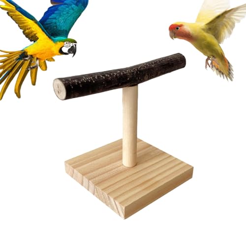 Papageien-T-Sitzstange, Holzständer für Papageien, Vogelstange, Vogelkäfigständer, Tisch-Sitzstange für Papageien, Barschkäfig-Zubehör, Papageien-T-Sitzstange, Holzständer für Papageien von Ghjkldha