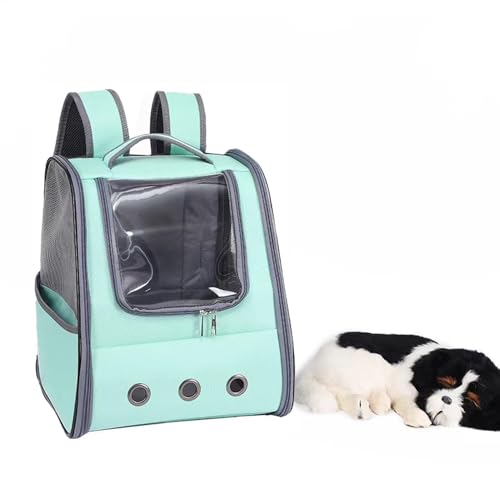 Portable Pet Carrier, Travel Dog Carrier, Pet Carrying Bag for Travel, Pet Backpack Carrier for Dogs, Hands- Pet Carrier 12.6x11.02x14.57 inches for Going Out, Driving, Traveling, Walking von Ghjkldha