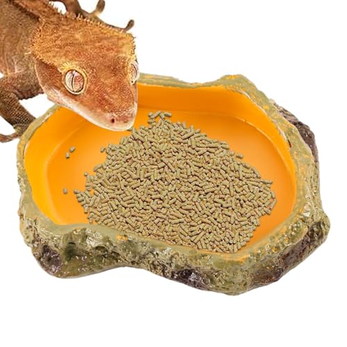 Reptile Tank Water Basin, Snake Water Dish, Snake Feeding Station, Reptile Feeding Dish, Snake Feeding Station and Water Basin Dish for Reptile Tank, Terrarium Bowls, and Tank Tray Decoration von Ghjkldha