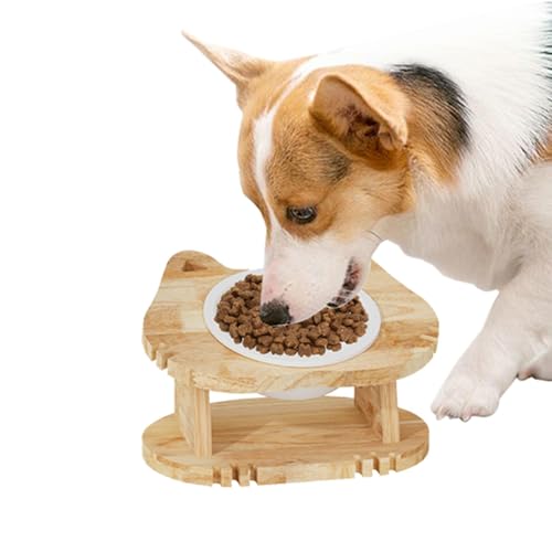 Tilted Feeding Bowls | Removable Cat Feeder Bowls | Ergonomic Cat Feeding Bowl | Adjustable Cat Feeder with 37.5x13.5x16cm/14.76x5.31x6.3 Inches for Home, Cage, Floor von Ghjkldha