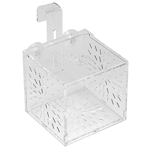 Ghulumn Aquarium Zucht Isolation Box Partition Inkubator Inkubator Acryl Transparent Aquarium Inkubator Rack (10X10X10Cm) von Ghulumn