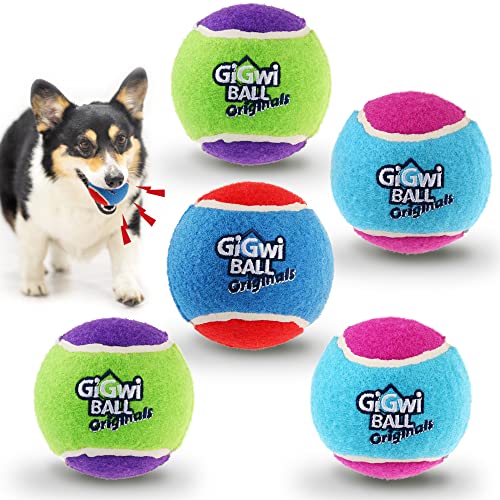 GiGwi Tennisbälle für Hunde, quietschende Hunde-Tennisbälle für Übung, hohe Hüpfbälle, leuchtende Farben, 6.3 cm, Innen- und Außenbereich, 5 Stück von GiGwi