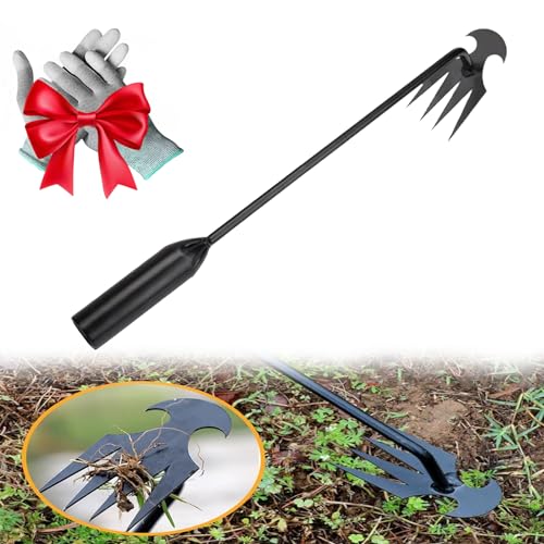 Dritnow Weeding Tool, Weeding Artifact Uprooting Weeding Tool, Weed Puller Tool Garden Weed Pulling Tool 4 Teeth Manganese Steel, Multifunctional Weeders Tool (11.8in Black) von Gienslru