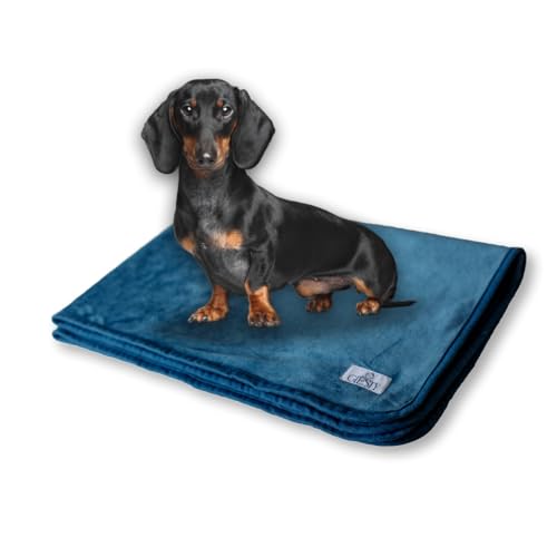 Giesty Hundedecke, Haustier Decken kuschelweich, Decken für Hunde Wasserdicht, maschinenwaschbar, beidseitiger Sofabezug-Schutz (Blau, M (60x74cm)) von Giesty