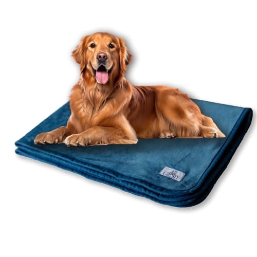 Giesty Hundedecke, Haustier Decken kuschelweich, Decken für Hunde Wasserdicht, maschinenwaschbar, beidseitiger Sofabezug-Schutz (Blau, XL (100x148cm)) von Giesty