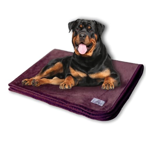 Giesty Hundedecke, Haustier Decken kuschelweich, Decken für Hunde Wasserdicht, maschinenwaschbar, beidseitiger Sofabezug-Schutz (Lila, XXL (203x148cm)) von Giesty