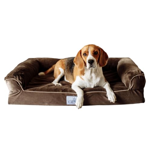 Giesty Mittel Hundebett, Orthopädisches Hundebett Mittelgroße Hunde, Hundecouch mit Hohem Rand, Haustierbett, Hundesofa Waschbar, Velours und Kunstpelz (Beige, L(90 * 68 * 20cm)) von Giesty