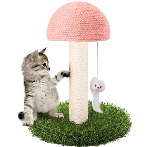 Katzenkratzbaum, Pilzklaue Kratzbaum für Kätzchen, Natursisal-Katzenkratzbaum mit hängender Maus Katze interaktives Spielzeug von GiftParty