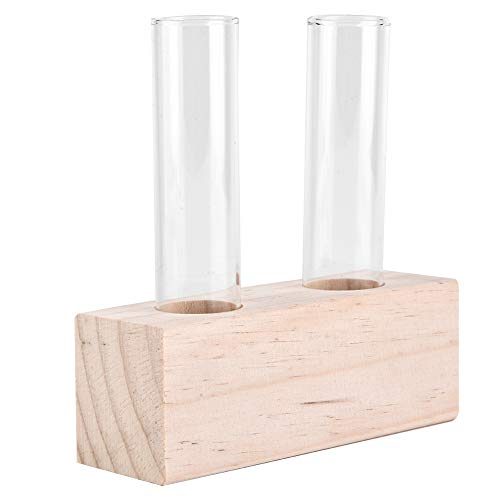 Pflanzenvermehrungsstation, Glas-Terrariumvase für Hydrokultur-Pflanzen, Stecklinge, Moderne Metallvase für die Vermehrung von Hydrokulturpflanzen, Heimbüro-Dekoration, Geschenke von Gigicial