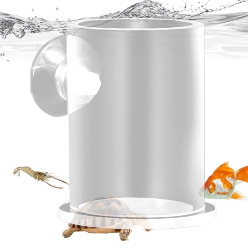 Gihioue Fixed Fish Food Feeder, Acrylfisch -Fütterungsrohr,Fester Lebensmittelspender für Fischtank - Glatte zylindrische Formabgabewerkzeug für große und kleine Aquarien von Gihioue