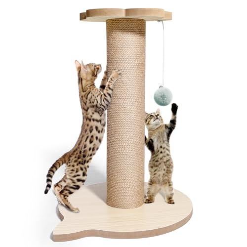 45,7 cm hoher Katzenbaum für Kätzchen, Jute-Kratzbaum mit hängendem Ball für Kätzchen & erwachsene Katzen, kleiner Katzenturm mit Spielzeug, Katzenaktivitätsbaum für drinnen von Giliglue