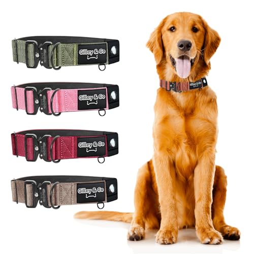GIlley&Co Premium-Hundehalsband mit AirTag-Beutel, verstellbares, robustes Halsband mit Schnellverschluss-Metallschnalle, Burnt Orange, Größe M von Gilley & Co