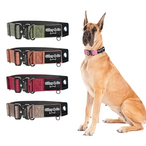 GIlley&Co Premium-Hundehalsband mit AirTag-Tasche – Verstellbares, strapazierfähiges Halsband mit Schnellverschluss-Metallschnalle für große Hunde (Blütenblattrosa, groß) von Gilley & Co