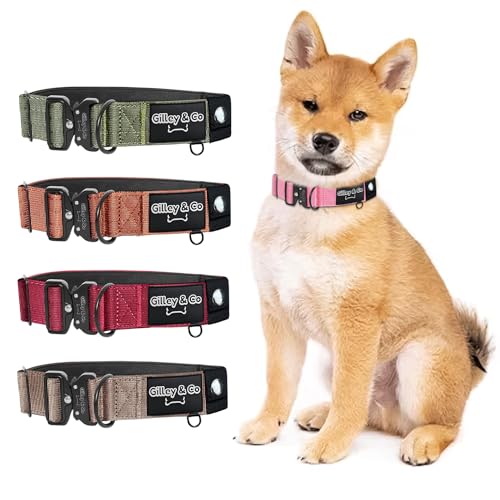 GIlley&Co Premium-Hundehalsband mit AirTag-Tasche – Verstellbares, strapazierfähiges Halsband mit Schnellverschluss-Metallschnalle für kleine Hunde (Blütenblattrosa, klein) von Gilley & Co