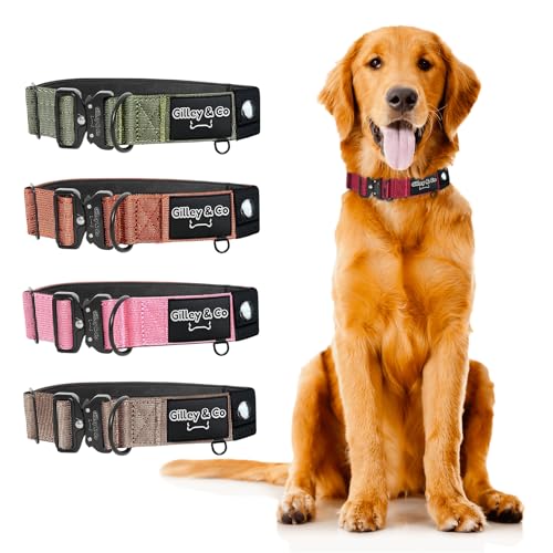 GIlley&Co Premium-Hundehalsband mit AirTag-Tasche – Verstellbares, strapazierfähiges Halsband mit Schnellverschluss-Metallschnalle für mittelgroße Hunde (Rosy Red, M) von Gilley & Co