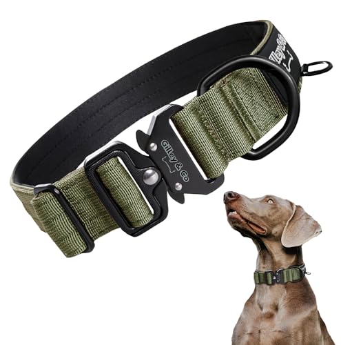 GIlley&Co Premium-Hundehalsband mit AirTag-Tasche – Verstellbares, strapazierfähiges Halsband mit Schnellverschluss-Metallschnalle für kleine Hunde (Armeegrün, klein) von Gilley & Co