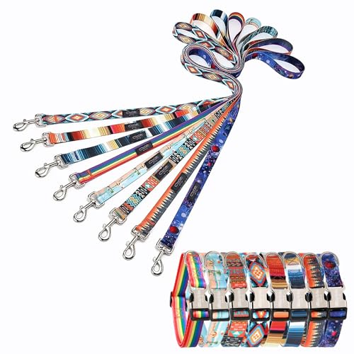 Gilley&Co Hundehalsband und Leine, 8 Designs, 4 Größen mit Edelstahl-Schnalle für mittelgroße Hunde (Cosmic Canine, Medium) von Gilley & Co