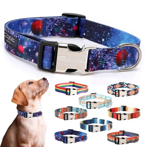 Gilley&Co Hundehalsband und Leine, 8 Designs, 4 Größen mit Edelstahl-Schnalle (Cosmic Canine, klein) von Gilley & Co