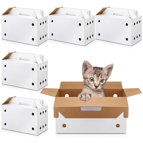 Gilprop Transportbox für Haustiere, 44 x 21 x 31 cm, für kleine Tiere, Weiß, für Welpen, Katzen, Haustiere, Transportbox aus Karton für Huhn, Hamster, Rennmäuse, Vögel, Reisebox, 6 Stück von Gilprop