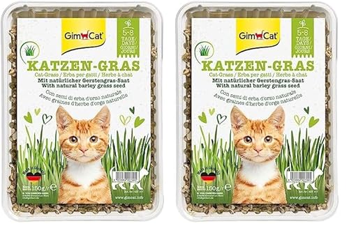 GimCat Katzengras 150g - Katzengras mit schneller Aufzucht in nur 5 bis 8 Tagen - 1 Schale (1 x 150 g) (Packung mit 2) von GimCat