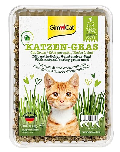 GimCat Katzengras 150g - Katzengras mit schneller Aufzucht in nur 5 bis 8 Tagen - 1 Schale (1 x 150 g) von GimCat