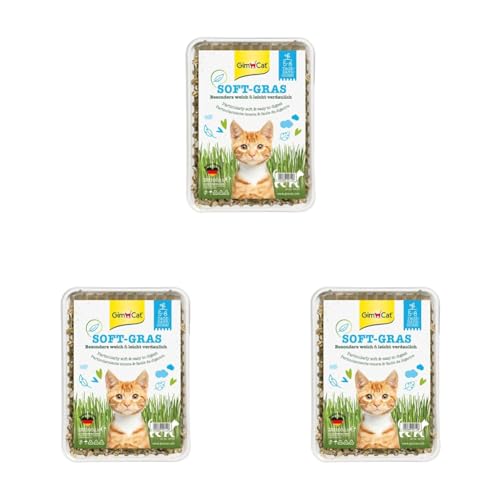 GimCat Soft-Gras - Zartes und vitaminreiches Katzengras mit schneller Aufzucht in nur 5 bis 8 Tagen - 1 Schale (1 x 100 g) (Packung mit 3) von GimCat