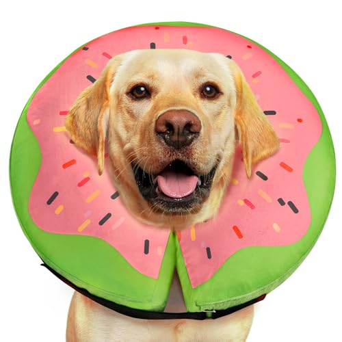 Aufblasbarer Hundekegel - Donut Red L von Gimars