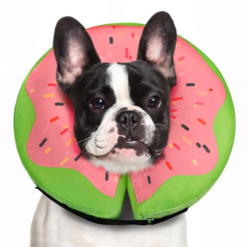 Aufblasbarer Hundekegel - Donut Red M+ von Gimars